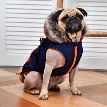 퍼피아 포켓 배색 하네스 점퍼 패딩, 네이비