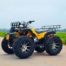 오토바이 사륜 4륜 125cc 버기카 소형 팜트럭 ATV 효도선물, 2. 패키지B(작은빅불)_완전조립