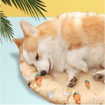 오블리펫 흡수 수지겔 강아지 쿨링 방석