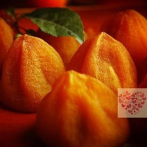 곶감 선물 세트 특급 건시 국내산 500g 상주, 1개