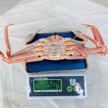 일품대게 대자 500-550g (마리 기준)