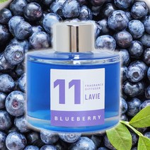 신나라-닷컴_라비에 허브타임 홈 디퓨져 블루베리 120ml 집들이선물 향좋은저 퓨져 선물용 퓨저 좋은 용저_ tlsskfk, S-N-선택사항없습니다