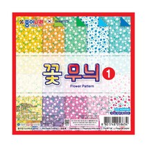 종이나라 양면색종이 꽃무늬 1번 안개꽃 낱개, 20개