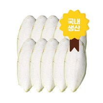 국내산 국내생산 갑오징어뼈및분말 천연칼슘제 강형욱 식분증 앵무새 거북이 달팽이 가재 이구아나 반려동물 천연지혈제 모든반려동물 무첨가 갑각류 설치류 조류 파충류, 뼈(15cm이상)