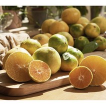 제도주 산지직송 고당도 하우스감귤 가정용 선물용 2kg 3kg 5kg, 소과