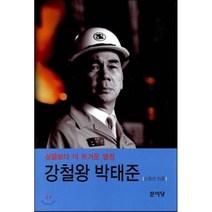 강철왕 박태준:쇳물보다 더 뜨거운 열정 문이당