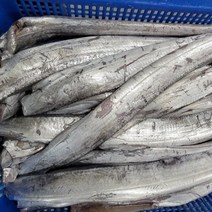 손질 목포먹갈치 소사이즈(풀치) 20마리(평일 3시이전 주문시 당일발송 다음날도착), 20개