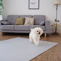휴팡 단면 4T 사각형 애견매트[미끄럼방지 슬개골보호 강아지매트] 소형 140x100cm, 직물패턴