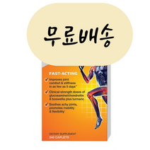 GNC 트리플렉스 패스트액팅 240개입 [미국 직배송], 1개, 240개