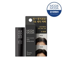 모다모다 프로체인지 헤어 커버스틱 3.5g 1호 흑색 새치 헤어라인 빈모 새치커버, 모다모다 프로체인지 헤어 커버