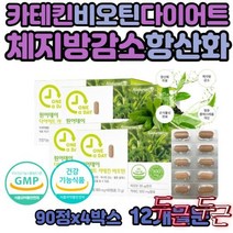 카테킨 지방 컷팅제 체지방 감소 다트 하체 기초대사량 결혼전 출산후 대 50대 여
