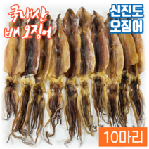 서해 배오징어 5마리 500g 10마리 1000g 국산 국내산 반건조 마른오징어 쫄쫄이 신진도 산지직송, 배오징어 10마리 1000g내외