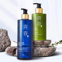 청춘 올인원 노인 홀애비 홀아비 냄새제거 바디 워시, 단품