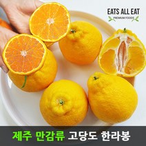 이츠올릿 제주도 고당도 한라봉 3kg (선물용 중대9-13과) 제주 하우스 귤 택배 선물 세트