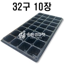 백색 이색포트 화이트포트 20개 10호 12호 15호 17호 교육 모종 학습용 분갈이용