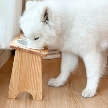 대형견 밥그릇 강아지 식탁 애견 고양이 수반 오일코팅 식기 2구, 대형견 오일코팅 식기 2구, 22cm