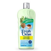 램버트케이 메디클린 약용 샴푸 533ml, 1