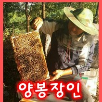 성도벌꿀 100%국내산 천연벌꿀 아카시아꿀2.4kg .감로꿀2.4kg 피나무꿀2.4kg 밤꿀 2.4kg, 감로꿀2.4kg