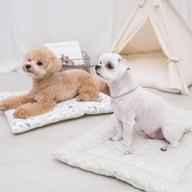 사계절용 꿀잠 순면 강아지방석 매트, 미니핑크도트