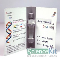 (SC) DNA추출2 동물세포(4인용) 과학교재 조별실험 단체실험 실험교구 과학실험키트, 본상품