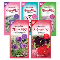 야생화씨앗 수입꽃 100선 가든엔씨앗 톱풀파스텔 배초향 알케밀라 제비고깔 수레국화 제라늄, 말로페