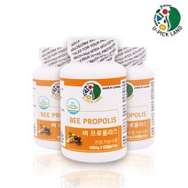 U-PICK LAND 프로폴리스 플라보노이드 캡슐 비프로폴리스 마그네슘 항산화 영양제 식약처 캐나다, 3병, 60캡슐