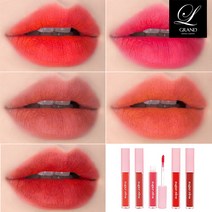마스크에 묻어나지않는 매트 립틴트 안지워지는 타투틴트 5colors 고발색 웜톤 쿨톤 착붙틴트 타투립틴트 코랄 핑크 각질부각없는 매트립스틱 타투립스틱, 04. 비마이 걸 (GIRL)
