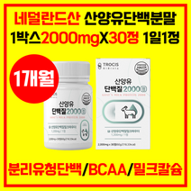 네덜란드 산양유 단백질 2000 1개월분 영양제 BCAA 류신 아미노산 WPI 단백질알약 유청분말