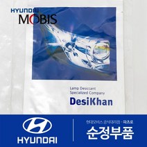현대모비스 순정 전조등 헤드라이트 습기제거제 결로제거 모이스처 업소번트, 25g