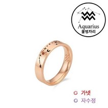 OST(쥬얼리) [OST][주문제작] 밤하늘의 별자리 물병자리 탄생석 커플링 ｜ 1.20~2.18 (가넷 자수정) OTRF213051