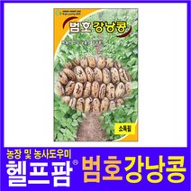 헬프팜 범호강낭콩 30g 종자 그린하트바이오