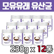 대용량 온가족 모유 유래 유산균 230gx12통 프로바이오틱스 LGG 락토바실러스 비피도 박테리움 엄마 아빠 부모님 20대 30대 40대 50대 60대 남자 여자 남성 여성 선물