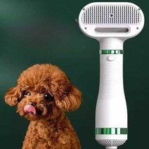 강아지 에어브러쉬 브러쉬 드라이기 애완동물, 그린