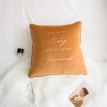 레터링쿠션 노르딕 심플 금박 이니셜 벨벳 허그 창문블라인드 소파 등쿠션 등받이쿠션 코디 장식 베개 스퀘어 2172541594