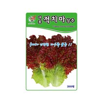 상추씨앗 여름적치마상추 2000립 여름 재배 다수확, 1개