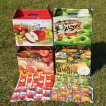 향토박이 달콤한 순수 사과즙 110ml 50포 한박스 경북 영덕, 과일즙 2박스(100포), 1개