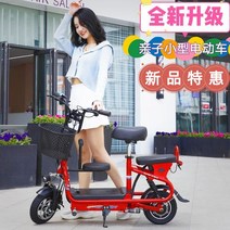 듀얼전동킥보드 접이식 두발킥보드 전기 스쿠터 성인 접이식 소형 전기 자동차 Yadi Emma Lvyuan Xinri 리튬 배터리 스쿠터, [05]  흰색/48V12A 고급형 리튬 배터리/충전/