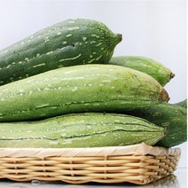 생 수세미 5kg 정성껏 키운 농장직배송, 1개