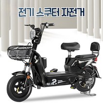 전기 자전거 48v 2인용 전기 이륜 오토바이, 기본, 12A 48V 레드 60km