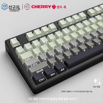 선행자 Z87 체리 체리 축 기계식 키보드 무선 블루투스 객제화 RGB 게임기전용 경쟁을 하다, 색깔20, 하나, 하나