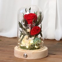 프리저브드 듀엣장미 유리돔 프리저브드 꽃선물 LED 무드등 여자친구 기념일 선물, 듀엣장미 레드(네추럴)