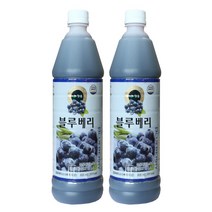 청솔 블루베리 음료베이스 835ml / 과일원액, 2개