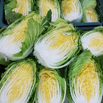 올바른새움푸드 농가수제 고랭지 절임배추, 고랭지절임배추 5kg(1포기반전후), 5kg