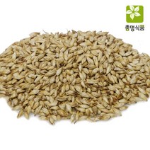 국내산 맥아(대맥), 300g