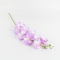호접란 조화 소형 수공예 화분 꽃꽂이 난꽃대 연보라