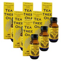비타핏 (Vitafit) 레몬향 티 트리 오일 25ml X 6개, 150ml, 1세트