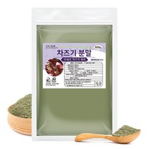 차즈기 분말 가루 국내산 자소엽 차조기 차, 1개, 300g