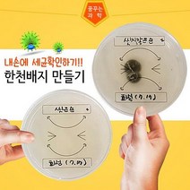 화성과학사 세균검사 한천배지만들기 일반세균 10개세트 생물실험세트