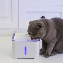 고양이 팻킷 정수기 냥이 급수기 애견 음수대 냥이 분수대 자동 옹달샘 애완견 동물 대형견 팻정수기, 단품, 단품