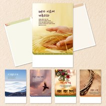 예닮 주보 절기주보 5종 주보 교회주보 주보디자인 칼라복사지 교회용품 주보인쇄 주보만들기, 1세트, 380x200mm 500매